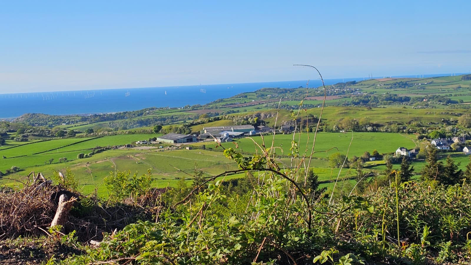 Green Welsh hill country above the campsite, looking out across patchwork fields toward the coast